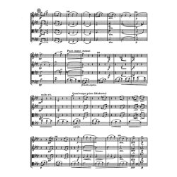 Streichquartett Nr. 5 f-Moll op. 9